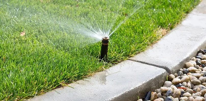 Spring Sprinkler Startup
